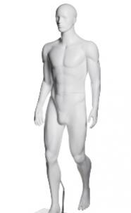 www