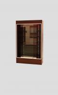  Wall Style Display Cases