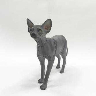 WM01-H hairless cat model