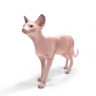 WM01-F realistic cat mannequin