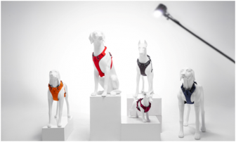 How to Make Your Pet Shop Products Stand Out?