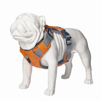G10 Bulldog dog model on sale