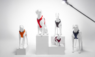 DOG MODEL FOR CLOTHES DISPLAY