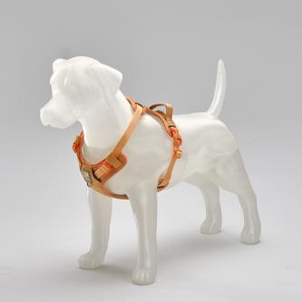 3D-LBLD 3D Printed Dog Model