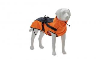 Reshaping pet fashion: 3D printed dog models lead the new trend of display