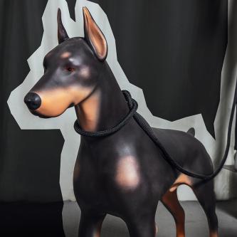 DOBER