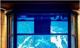 The classic scene of the summer window - ocean