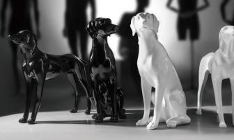 Realistically restore the attitude of the puppy 02
