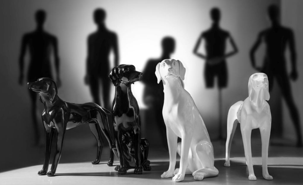 Realistically restore the attitude of the puppy 03
