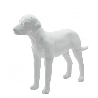 Model Labrador dog displays props for pet costumes
