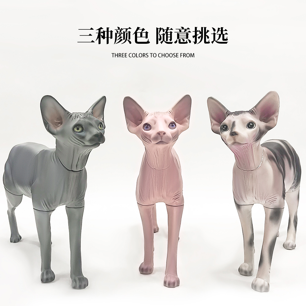 Hairless cat Model