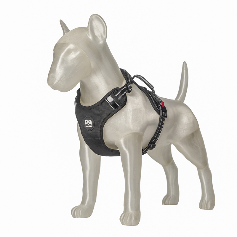 3D-LOUIS Dog model for pet props display