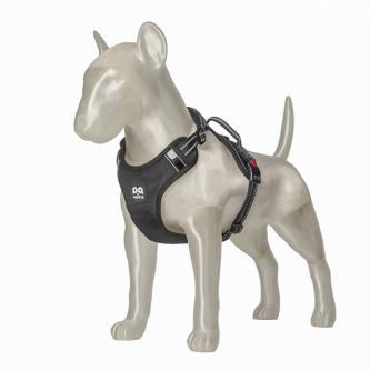 3D-LOUIS Dog model for pet props display