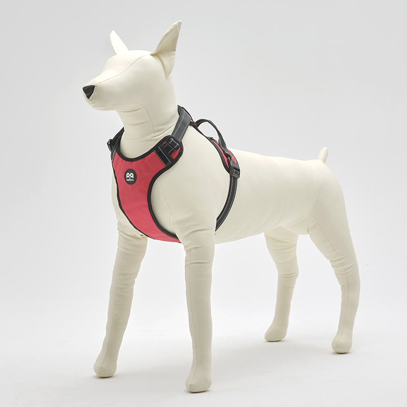RT-DOBER-W DOBER mannequin model