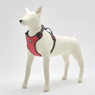 RT-DOBER-W DOBER mannequin model