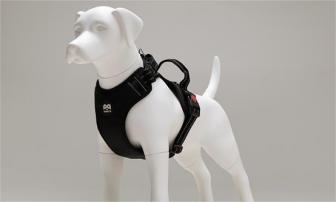 3D Printed Dog Models: Technological Innovation for the Pet Industry