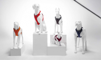 Dog model display in pet clothing stores